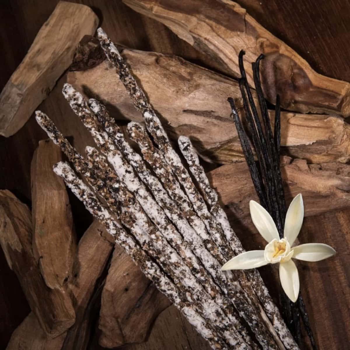 Incenso Naturale Palo Santo & Vaniglia - Amami Arredo Olfattivo